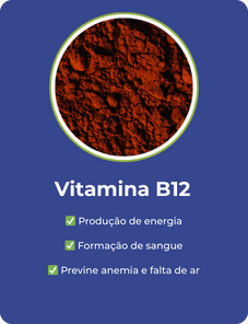 b12